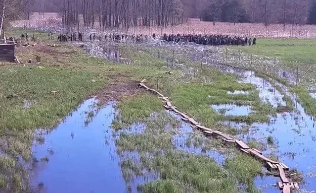 ponad-220-ahresyvnykh-mihrantiv-namahalysia-nelehalno-peretnuty-kordon-z-bilorusi-do-polshchi