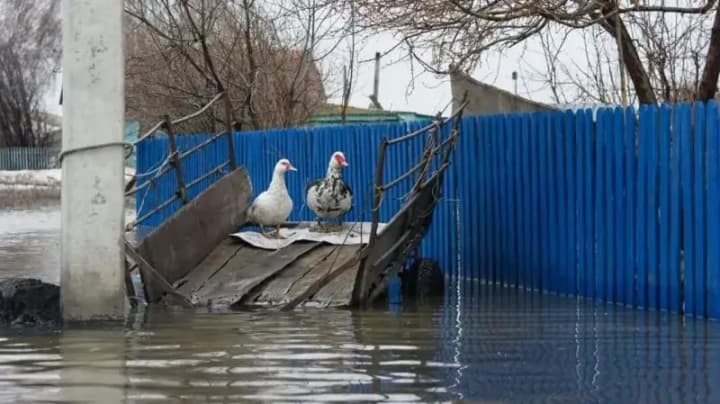 the-worst-disaster-in-80-years-large-scale-floods-in-kazakhstan-do-not-recede