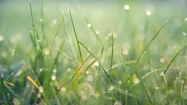 tsyklon-i-kholodne-povitria-z-baltiiskoho-moria-ta-skandynavii-prynesut-nestabilnu-pohodu-z-doshchamy-i-zamorozkamy-synoptyk