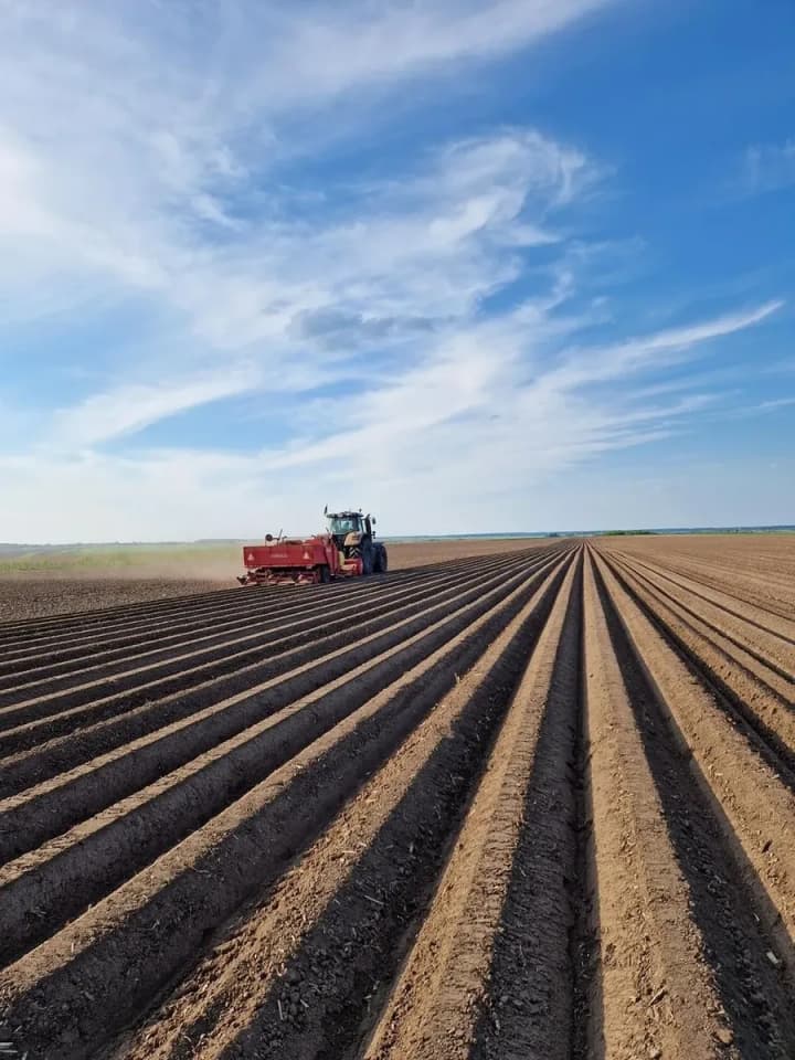 mhps-agribusiness-has-a-new-direction-vegetable-growing