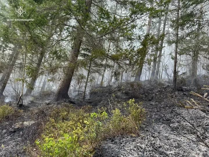 forest-fire-broke-out-in-prykarpattia-it-was-extinguished-after-a-5-hour-operation