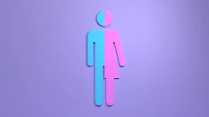 posle-neskolkikh-chasov-debatov-v-shvetsii-progolosovali-za-novii-zakon-o-gendernoi-identichnosti