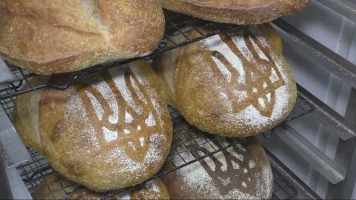 due-to-the-non-fulfillment-of-the-contract-the-dot-completely-refused-the-services-of-another-food-supplier-for-the-armed-forces