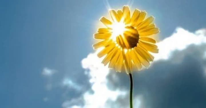 teplo-i-bez-speky-synoptyky-rozpovily-yakym-bude-traven