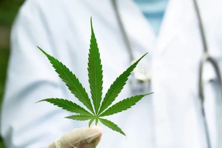 slovenia-wants-to-hold-a-referendum-on-legalization-of-euthanasia-and-marijuana