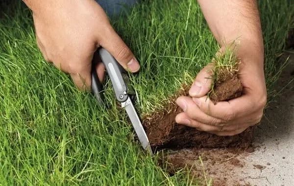 naas-land-bank-was-empty-before-privatization-negligence-of-agrarian-scientists-was-to-blame