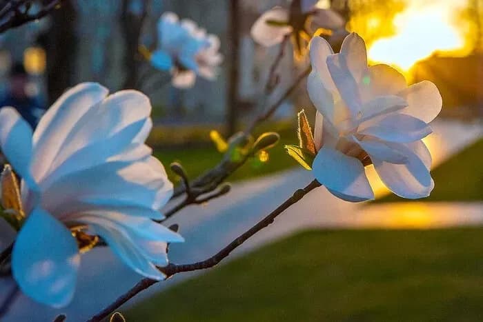 warm-and-without-precipitation-what-the-weather-will-be-like-on-april-30