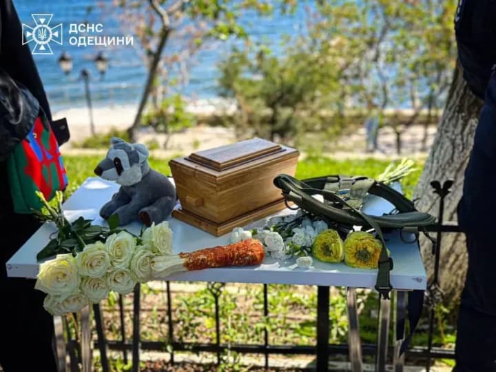 in-odesa-a-dog-killed-in-a-russian-attack-said-goodbye