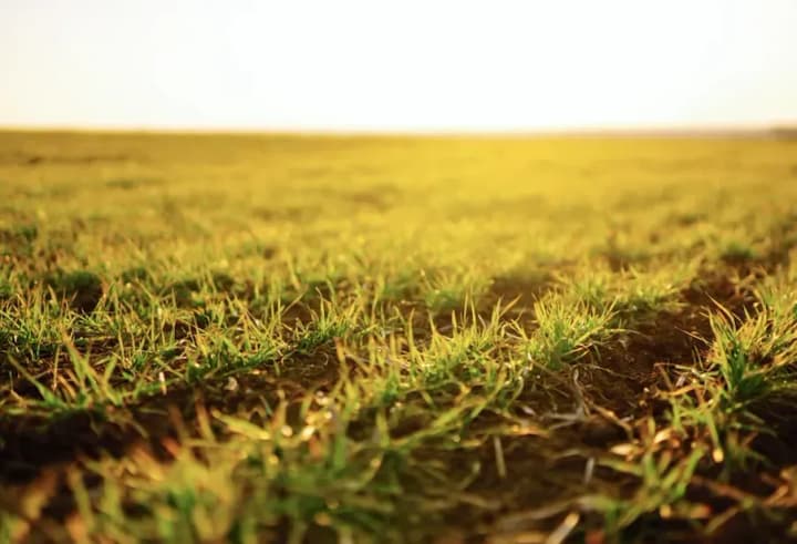 praktychno-usi-zemli-yaki-otrymaly-uchasnyky-ato-nyni-v-obrobitku-z-nykh-splachuiutsia-podatky-stvoriuiutsia-robochi-mistsia-mykola-solskyi