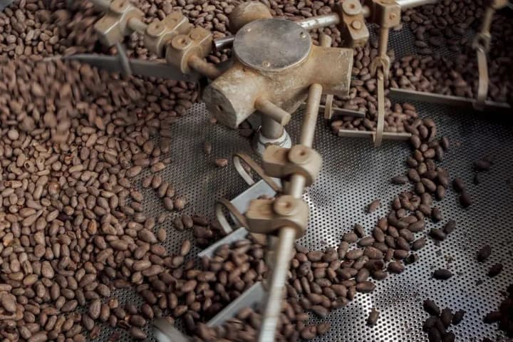 cocoa-prices-fall-nearly-30percent-after-hitting-record-highs-bloomberg