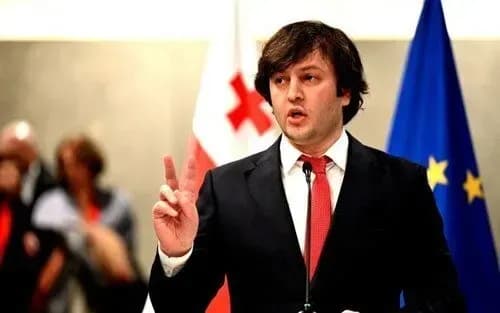 georgian-prime-minister-accuses-former-us-ambassador-of-inciting-revolution-in-country