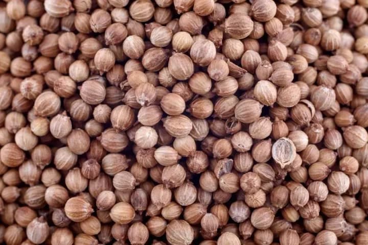 coriander-is-grown-in-12-regions-of-ukraine-who-leads-in-production