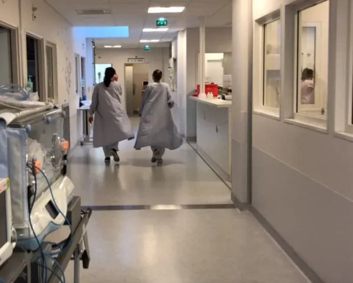 it-is-not-in-the-national-interest-britain-has-not-agreed-on-a-pandemic-agreement-with-the-who