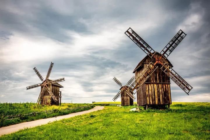 may-11-international-windmill-day-world-migratory-bird-day