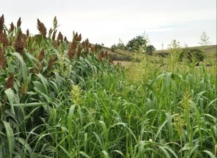 ukrainskie-geologi-planiruyut-otsifrovat-60-tis-geologicheskikh-otchetov-baza-dannikh-ponadobitsya-investoram-i-mezhdunarodnim-konkursam