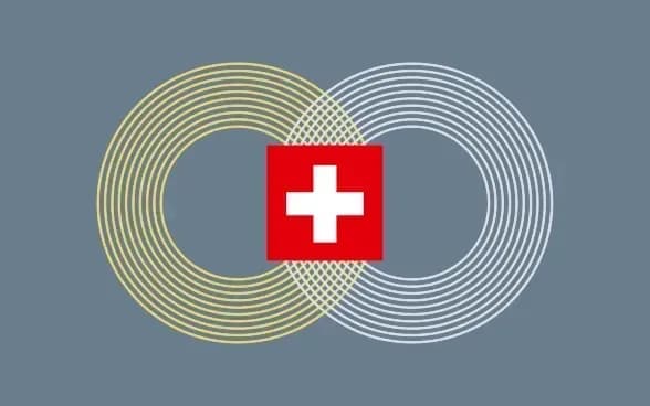 switzerland-to-restrict-airspace-in-the-buergenstock-area-for-the-duration-of-the-peace-summit