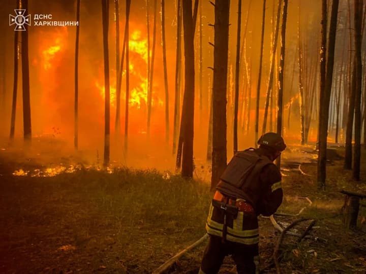 more-than-34-thousand-fires-registered-in-ukraine-in-five-months-state-emergency-service
