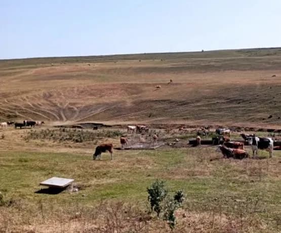 rukavychka-po-rumunsky-v-odnomu-z-povitiv-rumunii-v-odnomu-domi-propysaly-7-tys-ukraintsiv