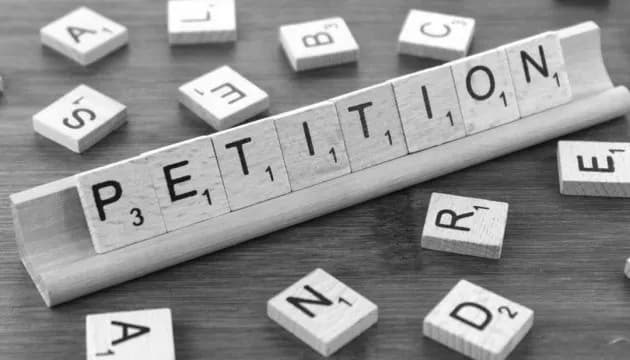 georgians-have-created-a-petition-calling-on-germany-not-to-allow-the-leaders-of-the-georgian-dream-to-participate-in-the-european-football-championship