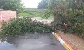 in-kiev-region-due-to-bad-weather-more-than-83-thousand-families-were-left-without-electricity