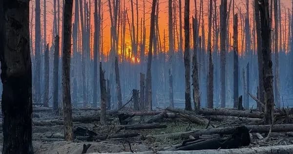 invaders-continue-to-push-in-the-serebryansky-forest-fighting-continues-in-four-locations
