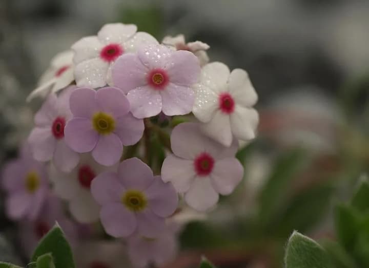 in-part-of-ukraine-today-thunderstorms-hail-and-squalls-in-some-places-and-up-to-31-c-forecasters