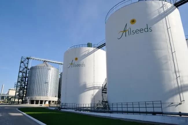 why-does-the-owner-of-olsides-keep-a-hand-held-volunteer-around-him