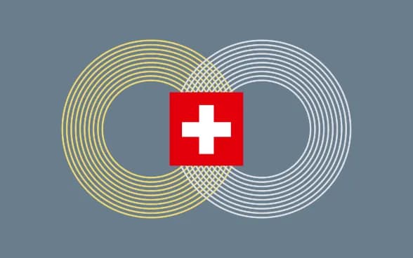 nhk-there-may-not-be-a-clause-on-the-withdrawal-of-russian-troops-in-the-statement-following-the-peace-summit-in-switzerland