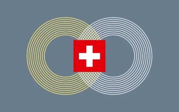 ukraine-aspires-to-globalizationpolitical-scientist-tells-what-would-be-the-best-result-for-ukraine-at-the-peace-summit