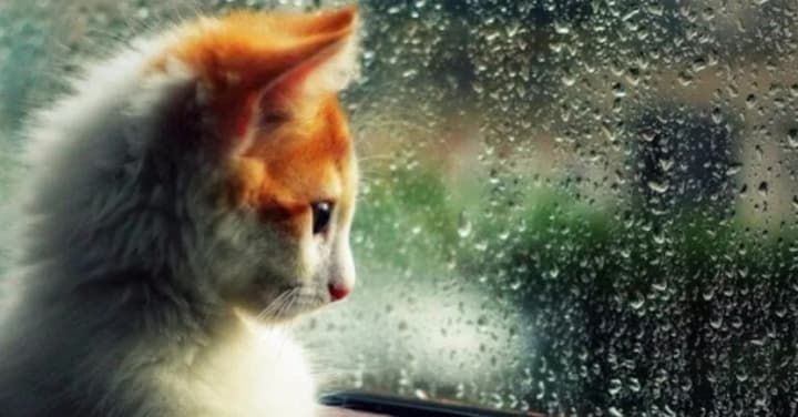 rains-and-thunderstorms-to-cover-most-of-ukraine-this-weekend