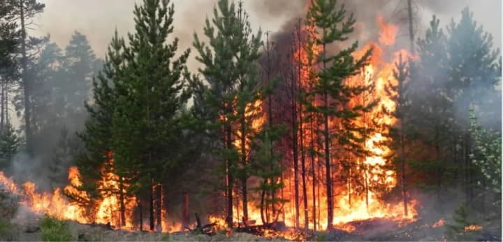 occupants-deliberately-hit-forests-in-kharkiv-region-to-create-fires-rma