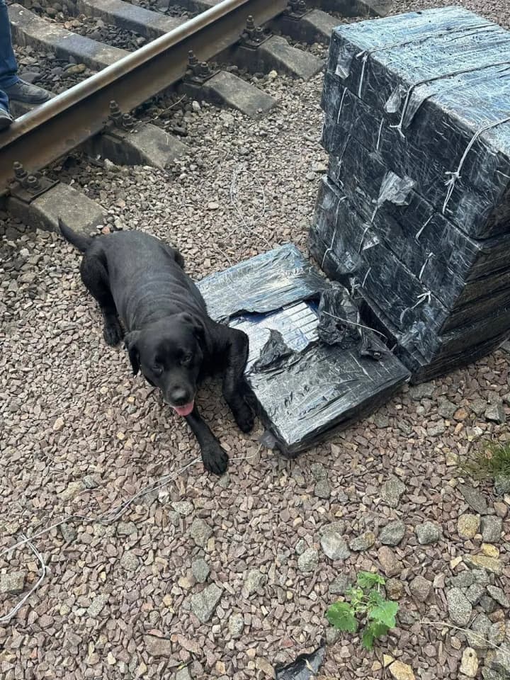they-hid-the-cigarettes-in-railroad-cars-with-iron-ore-the-contraband-was-heading-to-poland