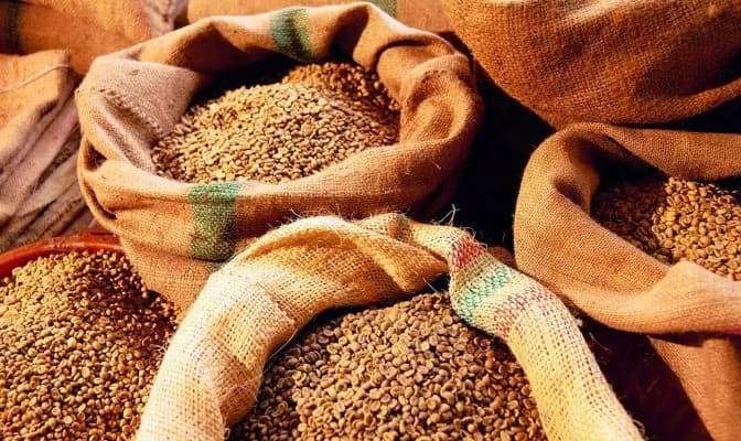 the-case-of-gray-grain-exports-to-olympex-why-the-grain-has-not-yet-been-arrested