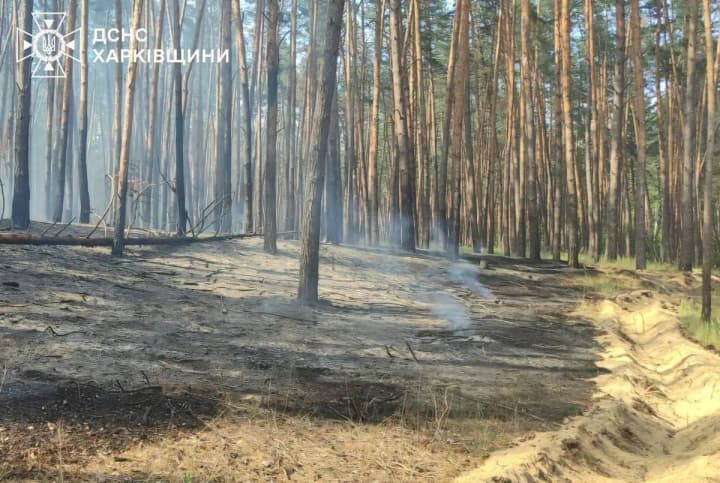 in-kharkiv-region-due-to-russian-shelling-a-forest-fire-occurred