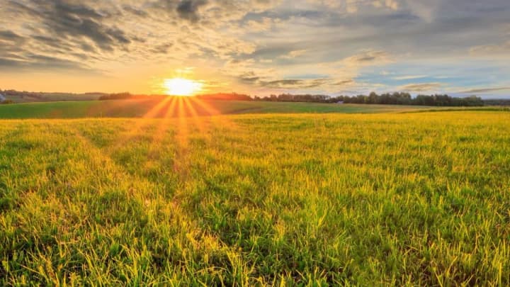 june-20-summer-solstice-world-elephant-protection-day-in-zoos