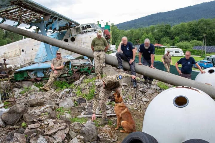 12-sapper-dogs-joined-the-ranks-of-the-armed-forces-of-ukraine-photo