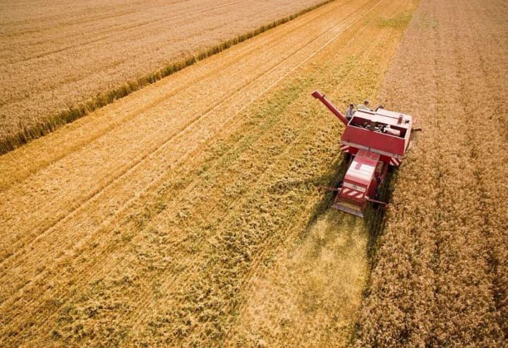 early-grain-harvesting-has-already-started-in-six-regions-of-ukraine-ministry-of-agrarian-policy