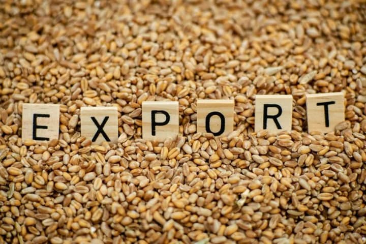 grey-exports-must-be-destroyed-member-of-the-agrarian-committee-of-the-rada