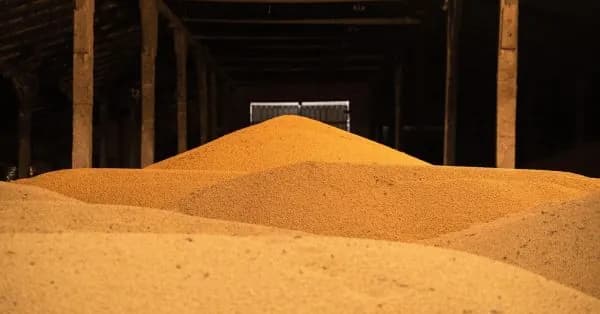 v-norvegii-reshili-sozdat-strategicheskii-zapas-zerna-na-sluchai-voini-ili-izmenenii-klimata