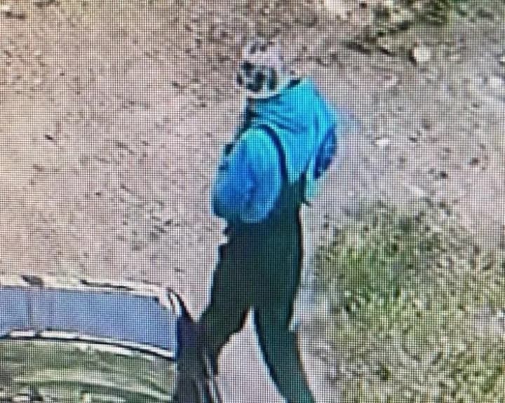 slidchi-oholosyly-pro-rozkryttia-rezonansnoho-vbyvstva-na-zaporizhzhi-detali