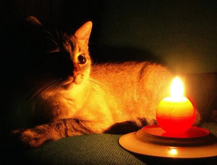 four-queues-will-be-turned-off-simultaneously-tomorrow-the-schedule-of-power-outages-will-be-renewed-in-ukraine