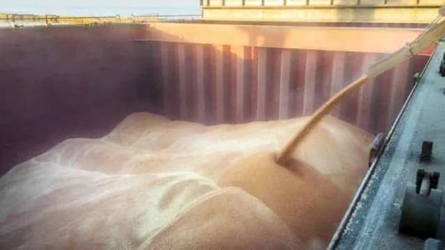 ukraina-eksportiruet-56-millionov-tonn-cherez-chernomorskii-koridor-na-fone-rossiiskikh-atak