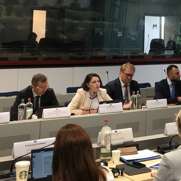 nastupnyi-krok-na-shliakhu-do-chlenstva-v-yes-ukraina-ta-yevrokomisiia-rozpochaly-zustrichi-v-mezhakh-skryninhu