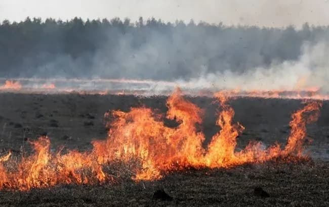 at-least-75-hectares-of-wheat-burned-by-russian-terrorist-troops-in-kherson-region-in-two-weeks