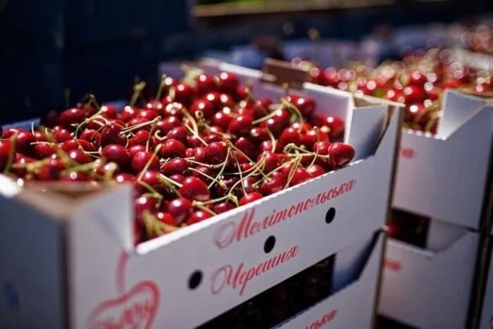 melitopol-sweet-cherry-is-ukrainian-kyiv-calls-on-wipo-general-assembly-to-respond-to-theft-of-geographical-indication-by-russia