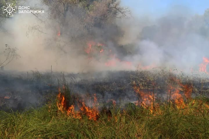 amid-the-heat-wave-in-ukraine-331-natural-fires-occurred-overnight-including-one-in-khortytsia