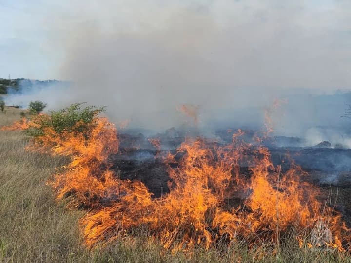 crimea-on-fire-a-large-scale-fire-broke-out-in-the-resort-of-koktebel