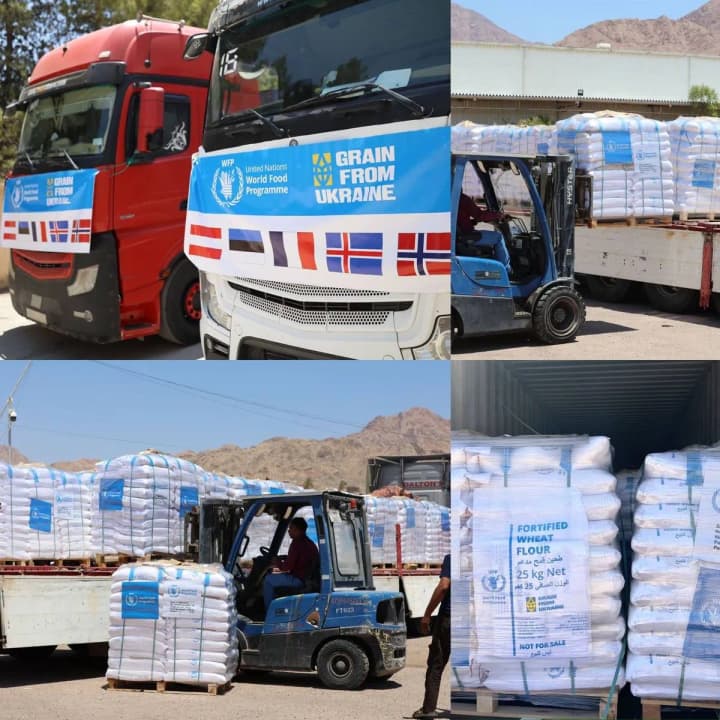 palestyna-otrymala-pershu-partiiu-zerna-za-prohramoiu-grain-from-ukraine