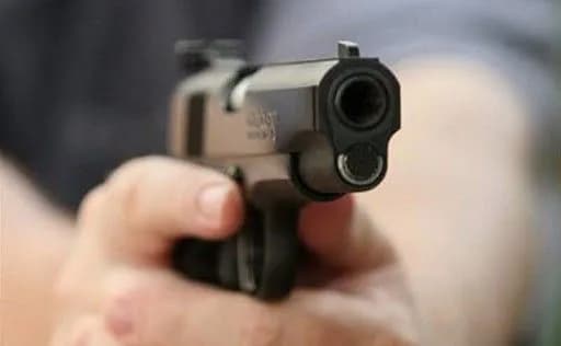 linguist-iryna-farion-may-have-been-shot-in-lviv-mp