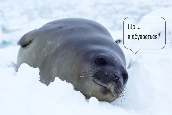 v-razgar-antarkticheskoi-zimi-na-stantsii-akademik-vernadskii-zafiksirovali-plyusovuyu-temperaturu